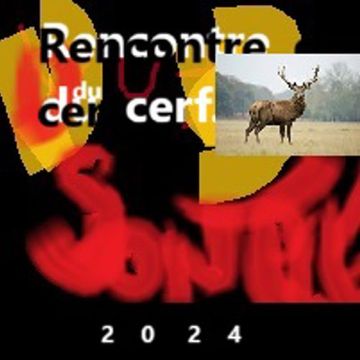 rencontre  du  cerf