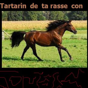 tartarin  de  tarscon