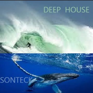 in the deep  house