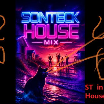 st  in  da  house  cat  mix 