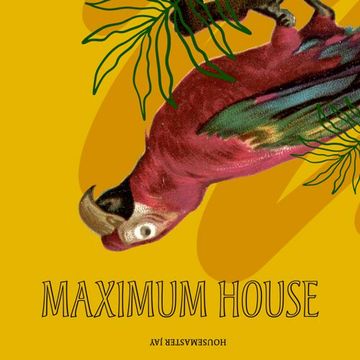 Maximum House