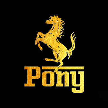 Pony
