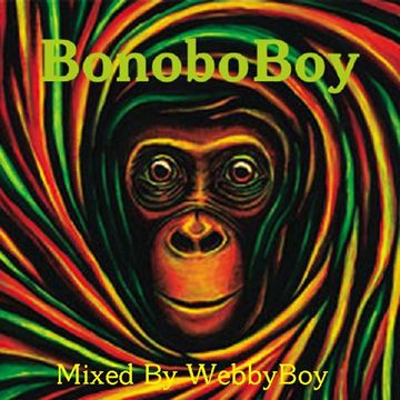 WebbyBoy   Bonobo DJ Set