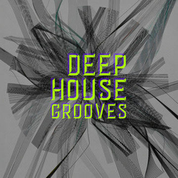 DEEP HOUSE GROOVES - LEE H - 2025