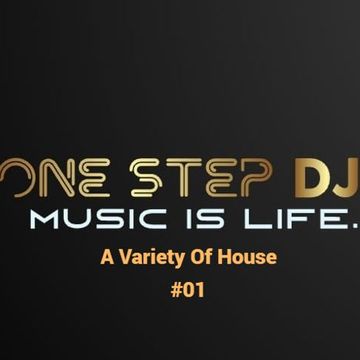 A Variety of House 01