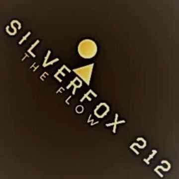 DJ Silverfox 212 - The London Deep House Groove mix-24-7-25