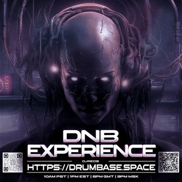 dnb experience 07102023