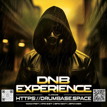 dnb experience 09122023