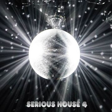 Serious House Vol. 04