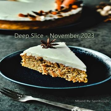 Deep Slice - November 2023
