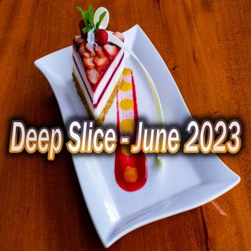 Deep Slice - June 2023