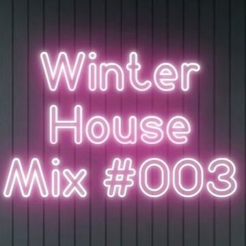 DeeJay DingeRz   Winter House Mix 003