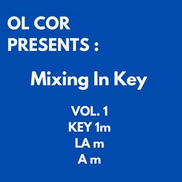 Mixing In Key - Vol.1 - Key 1m 