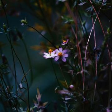 Claudio Solis - diggin @ 7hermanos 7 11 2025 breakbeat #darkminimal #electronicmusic 160