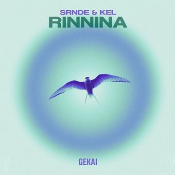 SRNDE feat. KEL - Rinnina (DJ 491 concept)