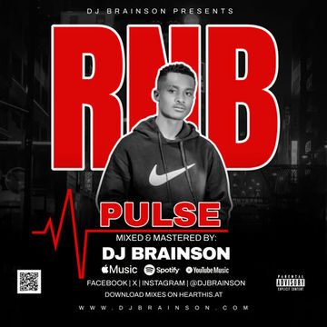 RNB PULSE VOL.1   DJ BRAINSON