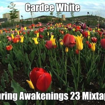 Cardee White   Spring Awakenings 23 Mixtape