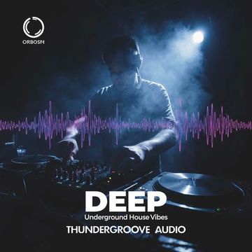 #148 THUNDERGROOVE AUDIO