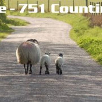 kleez.one   751 Counting Sheep