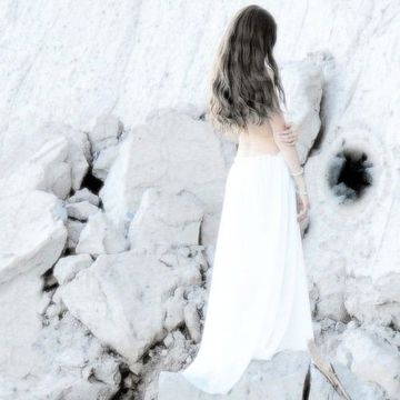 The White Rabbit