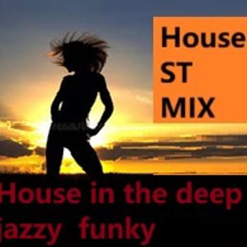 house in the deep  jazzy  funky mix   st