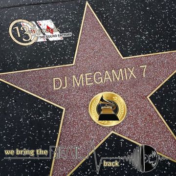 The Dj Megamix 7