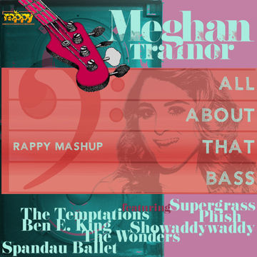 Meghan Trainor -  All About That Bass (rappy Mashup)