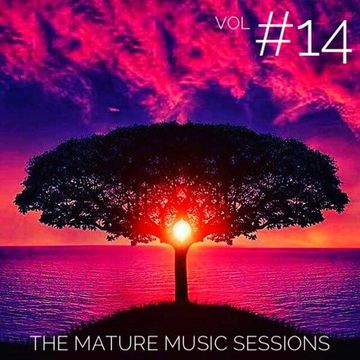 The Mature Music Sessions Vol 14   Iain Willis