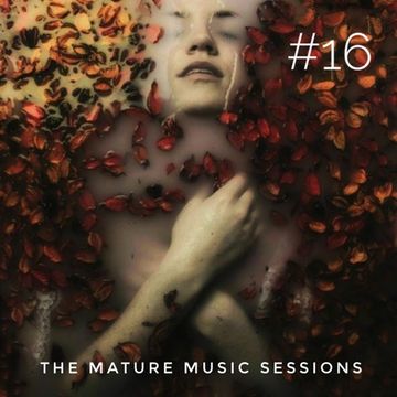 The Mature Music Sessions Vol 16   Iain Willis