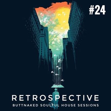 Iain Willis presents Retrospective 24   Buttnaked Lost Mixes