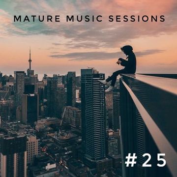 The Mature Music Sessions Vol 25   Iain Willis
