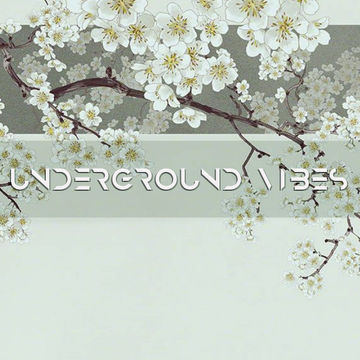 Lady SoulShine - Underground Vibes #301 (2022.02.27)