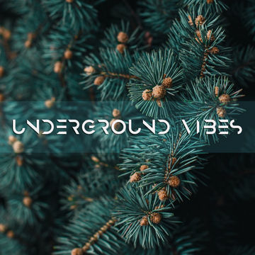 Wadada - Underground Vibes #299 (2021.12.31)