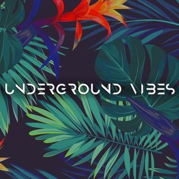 vasya blagodar - Underground Vibes #336 (2023.06.11)