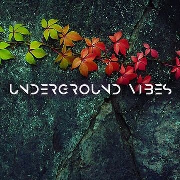 vasya blagodar - Underground Vibes #339 (2023.07.09)