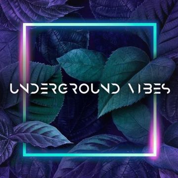 Sasha Sound - Underground Vibes #369 (2024.08.18)