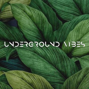 vasya blagodar - Underground Vibes #330 (2023.04.23)