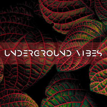 Minor DJ - Underground Vibes #284 (2021.08.15)