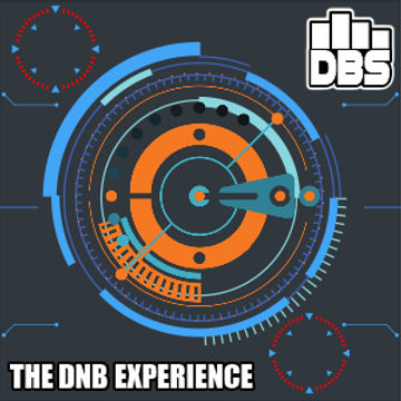 DjREDs   THE DNB EXPERIENCE