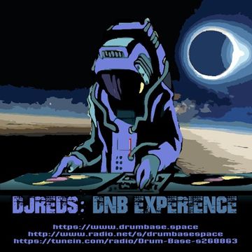 dnb experience 30112019