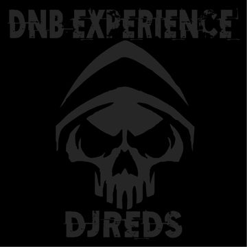 dnb experience 02/10/2021