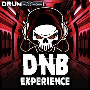 DnB Experience 12/03/2022