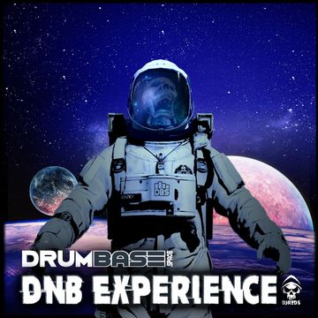 dnb experience 12 02 2022