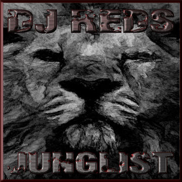 DnB   Jungle 180515