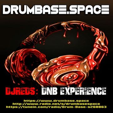 dnb experience 28092109