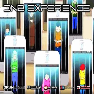 dnb experience 16082021