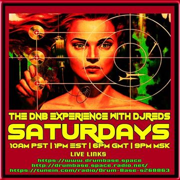 dnb experience 2303201