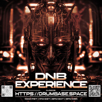 dnb experience 20012024