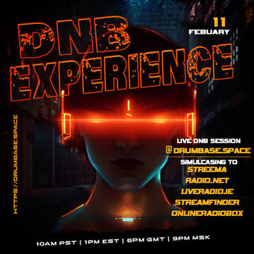 dnb experience 11/02/2023