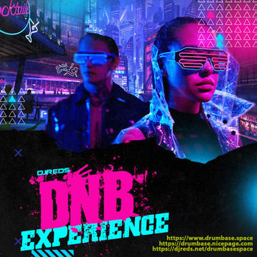 dnb experience 02/07/2022